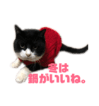 モノクロねこ。正月・冬（個別スタンプ：32）
