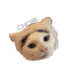 モノクロねこ。正月・冬（個別スタンプ：33）