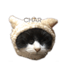 モノクロねこ。正月・冬（個別スタンプ：35）