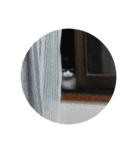 モノクロねこ。正月・冬（個別スタンプ：36）