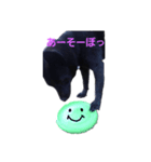 さらんの日常（個別スタンプ：5）