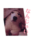 あたいたち と てん（個別スタンプ：7）
