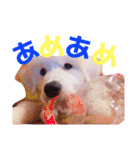 あたいたち と てん（個別スタンプ：14）