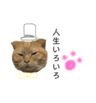 スコちゃんの使えるスタンプ（個別スタンプ：8）