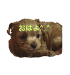 マリ豆助の日常（個別スタンプ：5）