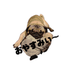 キッちゃんとりーさん（個別スタンプ：8）