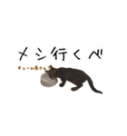 猫とインコのおもしろ癒され日常会話（個別スタンプ：25）