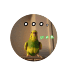 猫とインコのおもしろ癒され日常会話（個別スタンプ：38）