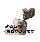 モカと風太（個別スタンプ：4）