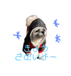 モカと風太（個別スタンプ：12）