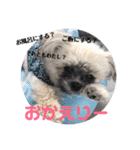 モカと風太（個別スタンプ：16）