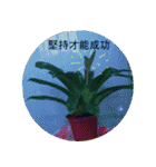無事な人形と草の根の友達（個別スタンプ：14）