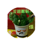 無事な人形と草の根の友達（個別スタンプ：20）