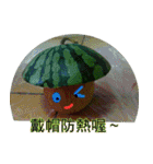 無事な人形と草の根の友達（個別スタンプ：23）