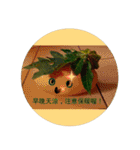 無事な人形と草の根の友達（個別スタンプ：30）