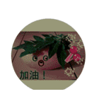 無事な人形と草の根の友達（個別スタンプ：31）
