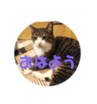 ゆーちゃんと仲間たち（個別スタンプ：1）