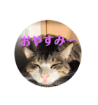ゆーちゃんと仲間たち（個別スタンプ：3）