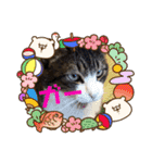 ゆーちゃんと仲間たち（個別スタンプ：7）