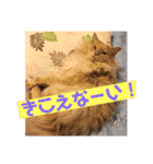 ゆーちゃんと仲間たち（個別スタンプ：8）