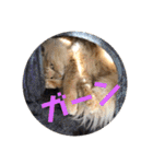 ゆーちゃんと仲間たち（個別スタンプ：9）