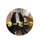 ゆーちゃんと仲間たち（個別スタンプ：10）
