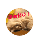 ゆーちゃんと仲間たち（個別スタンプ：14）