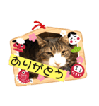 ゆーちゃんと仲間たち（個別スタンプ：18）