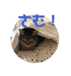 ゆーちゃんと仲間たち（個別スタンプ：19）