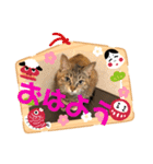 ゆーちゃんと仲間たち（個別スタンプ：21）