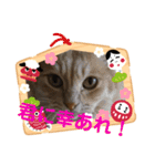 ゆーちゃんと仲間たち（個別スタンプ：23）