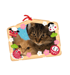 ゆーちゃんと仲間たち（個別スタンプ：24）
