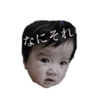 サラスタ2018（個別スタンプ：5）