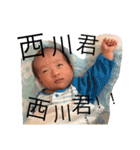 そうそう その1（個別スタンプ：11）