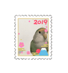 2019 おうちのコザクラインコ（個別スタンプ：5）