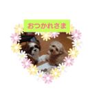 ぷぅ＆しぃ（個別スタンプ：2）