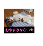 ぷぅ＆しぃ（個別スタンプ：4）