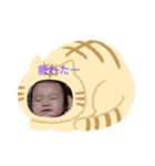 umikaちゃんスタンプ（個別スタンプ：3）