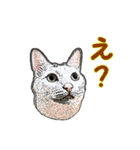 つぶやき猫_00（個別スタンプ：1）