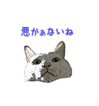 つぶやき猫_00（個別スタンプ：2）
