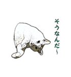 つぶやき猫_00（個別スタンプ：3）