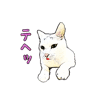 つぶやき猫_00（個別スタンプ：4）