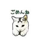 つぶやき猫_00（個別スタンプ：7）