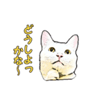 つぶやき猫_00（個別スタンプ：8）
