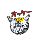 つぶやき猫_00（個別スタンプ：11）