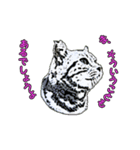 つぶやき猫_00（個別スタンプ：17）
