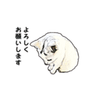つぶやき猫_00（個別スタンプ：20）