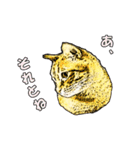 つぶやき猫_00（個別スタンプ：23）