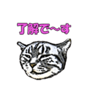 つぶやき猫_00（個別スタンプ：25）