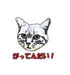 つぶやき猫_00（個別スタンプ：26）